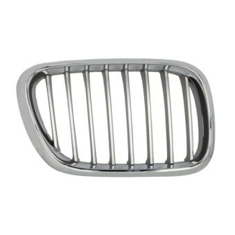 Grille de radiateur avant droit BLIC 6502-07-0095992P