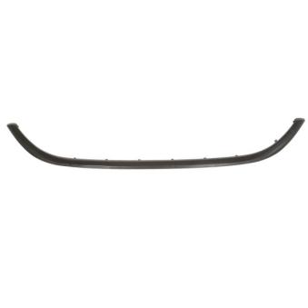 Baguette et bande protectrice, grille de radiateur BLIC 6502-07-2030992P