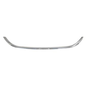 Baguette et bande protectrice, grille de radiateur BLIC 6502-07-2030993P
