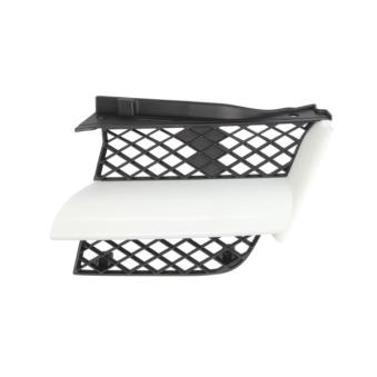 Grille de radiateur avant gauche BLIC 6502-07-3749991P