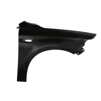 Aile avant droit BLIC 6504-04-2030312P