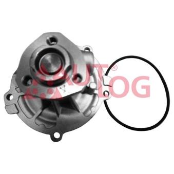Pompe à eau AUTLOG WP7020