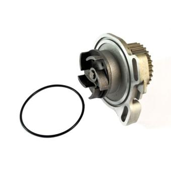 Pompe à eau THERMOTEC