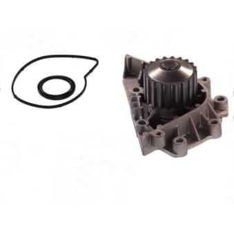 Pompe à eau THERMOTEC D1P042TT