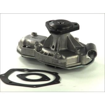 Pompe à eau THERMOTEC D1R003TT