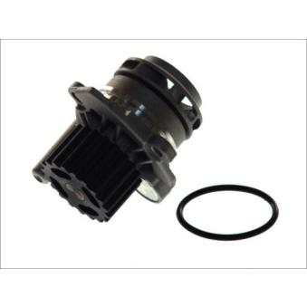 Pompe à eau THERMOTEC D1W039TT