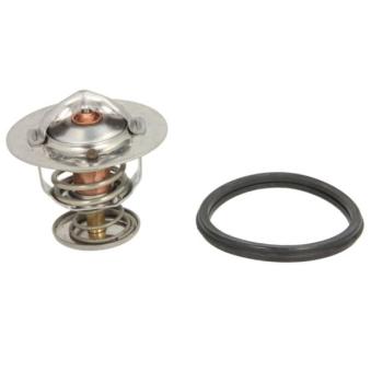 Thermostat d'eau THERMOTEC D24001TT
