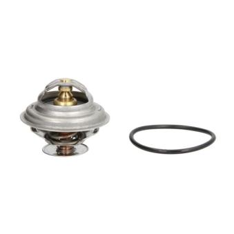 Thermostat d'eau THERMOTEC D2A003TT