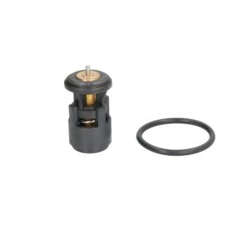 Thermostat d'eau THERMOTEC