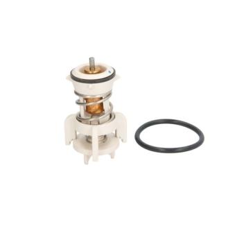 Thermostat d'eau THERMOTEC D2A010TT