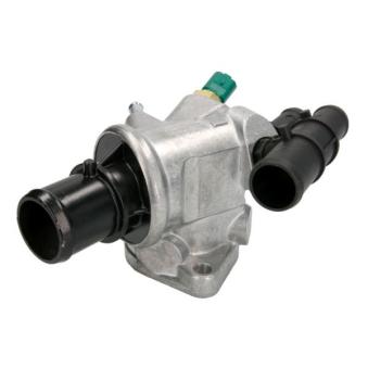 Thermostat d'eau THERMOTEC