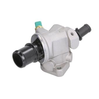 Thermostat d'eau THERMOTEC D2F004TT