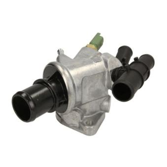 Thermostat d'eau THERMOTEC D2F006TT