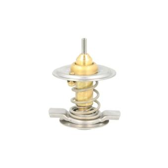 Thermostat d'eau THERMOTEC D2M004TT