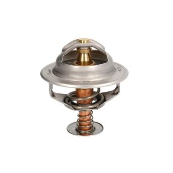 Thermostat d'eau THERMOTEC D2RV006TT