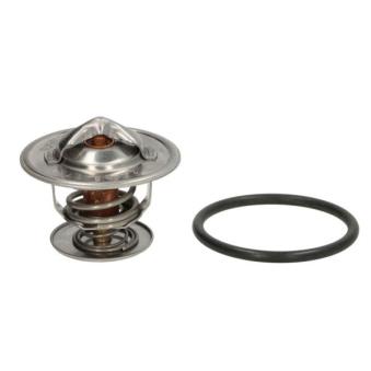 Thermostat d'eau THERMOTEC D2T003TT