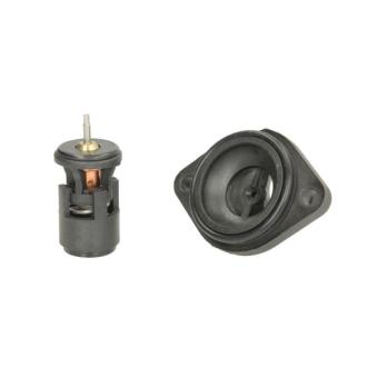 Thermostat d'eau THERMOTEC D2W004TT