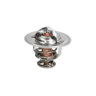 Thermostat d'eau THERMOTEC D2X003TT