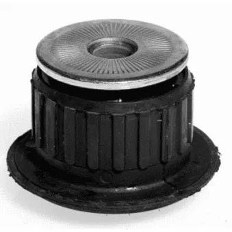 Suspension, support de boîte automatique LEMFORDER 10071 02