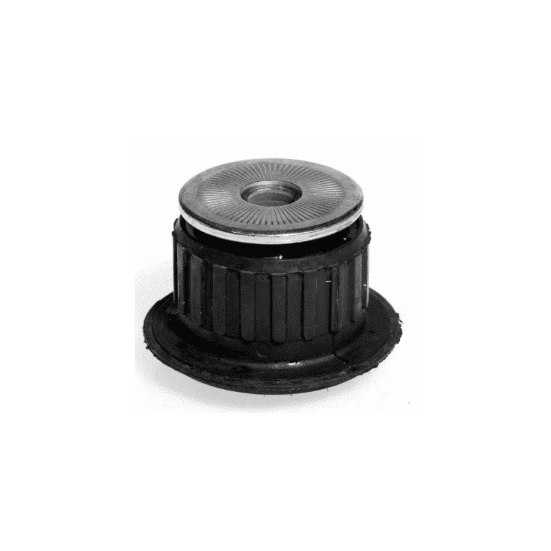 Suspension, support de boîte automatique LEMFORDER 10071 02