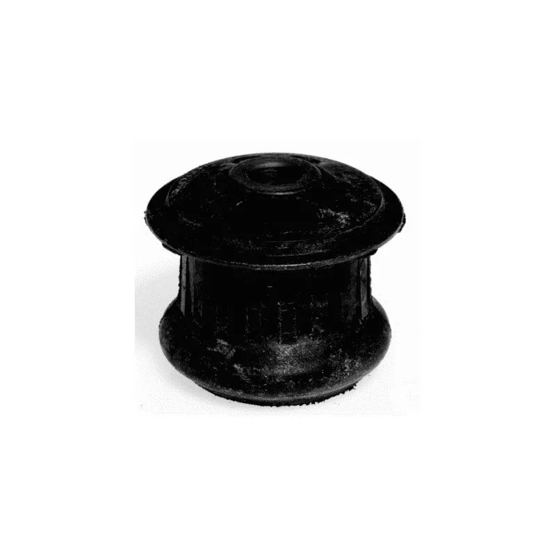 Suspension, support de boîte automatique LEMFORDER 10091 01