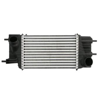 Intercooler, échangeur THERMOTEC DA1013TT