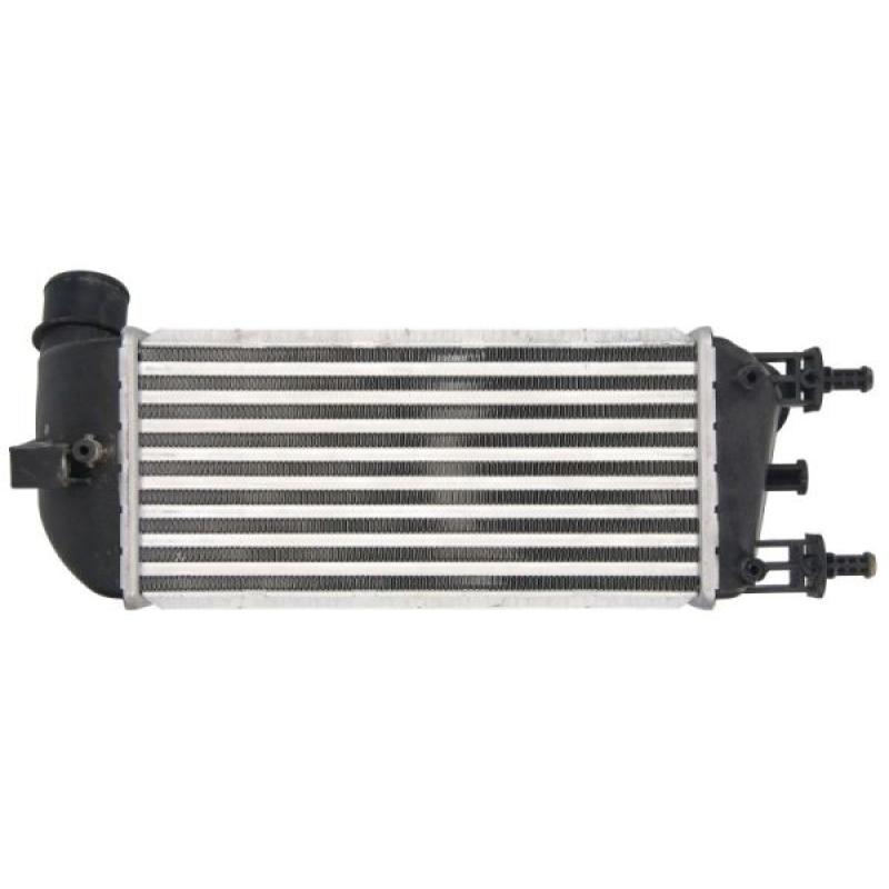 Intercooler, échangeur THERMOTEC DAF010TT - Visuel 1