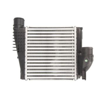 Intercooler, échangeur THERMOTEC DAP004TT