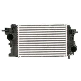 Intercooler, échangeur THERMOTEC DAX034TT