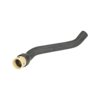 Durite de radiateur THERMOTEC