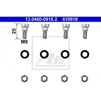 Kit d'accessoires, plaquette de frein à disque ATE 13.0460-0918.2