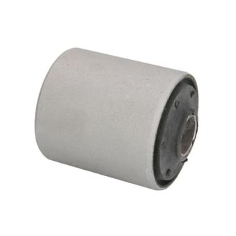 Coussinet de palier, ressort à lames MAGNUM TECHNOLOGY