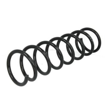 Ressort de suspension MAGNUM TECHNOLOGY