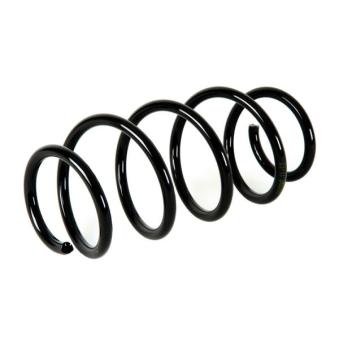 Ressort de suspension MAGNUM TECHNOLOGY