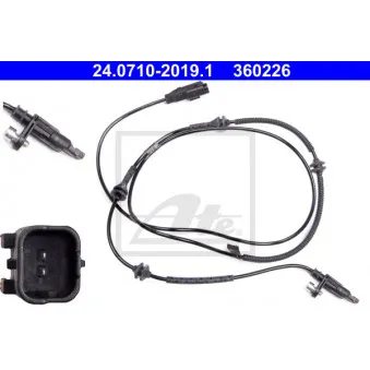 Capteur, vitesse de roue ATE 24.0710-2019.1