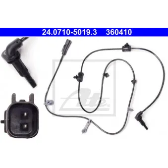 Capteur, vitesse de roue ATE 24.0710-5019.3