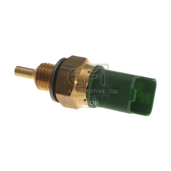 Sonde de température, liquide de refroidissement EFI AUTOMOTIVE 144332