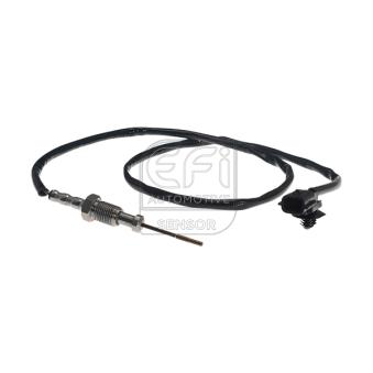 Capteur, température des gaz EFI AUTOMOTIVE