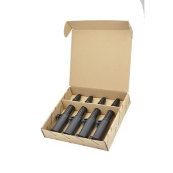 Bobine d'allumage EFI AUTOMOTIVE 156200P