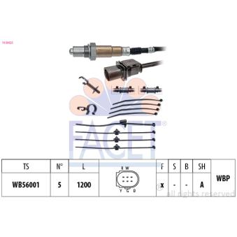 Sonde lambda FACET 10.8425