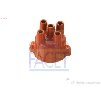 Tête d'allumeur FACET