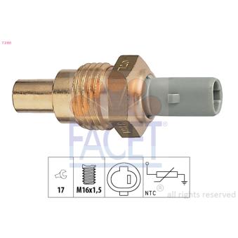 Sonde de température, liquide de refroidissement FACET
