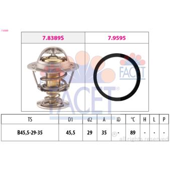 Thermostat d'eau FACET