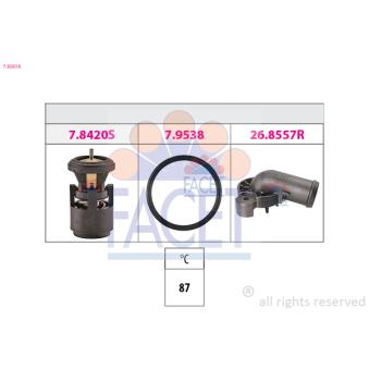 Thermostat d'eau FACET