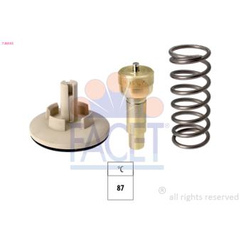 Thermostat d'eau FACET