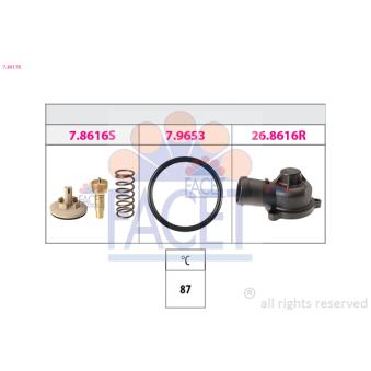 Thermostat d'eau FACET