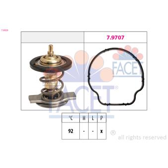 Thermostat d'eau FACET