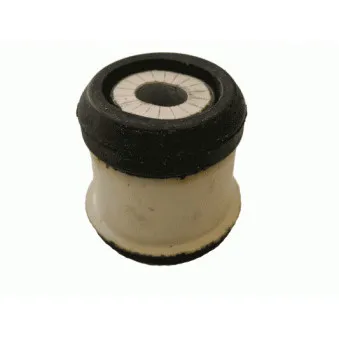 Suspension, support de boîte automatique LEMFORDER 25875 01