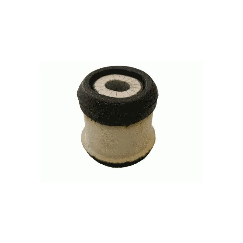 Suspension, support de boîte automatique LEMFORDER 25875 01