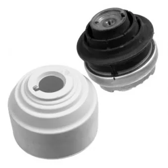 Support moteur LEMFORDER 26078 01